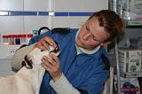 AUSCULTATION 201